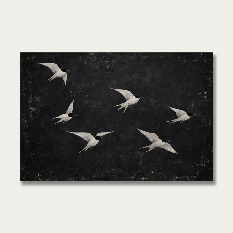 SILENT FLIGHT